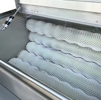Kleine Fruitgroente Wasmachine Voor Cassave Aardappelen Chips Schoonmaken Efficiënt Gemakkelijk Te Gebruiken