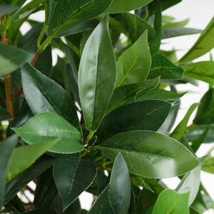 Nouvel arrivage <span class=keywords><strong>de</strong></span> <span class=keywords><strong>laurier</strong></span> artificiel moderne en plastique Plantes d'aménagement paysager décoratives d'apparence réelle pour l'intérieur et l'extérieur - Product Image 2