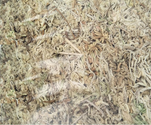 Sol pour fleurs en pot, plantes succulentes, stéréo, mousse d'eau sèche, pour, vente en gros - Product Image 5