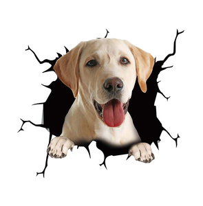 Vinilos Decorativos Removibles <span class=keywords><strong>para</strong></span> Autos con Diseño <span class=keywords><strong>de</strong></span> Perro Adorable, Impresión Personalizada, 1 Año <span class=keywords><strong>de</strong></span> Garantía, Estilo Personalizado, Decoración <span class=keywords><strong>para</strong></span> Ventanas - Product Image 1