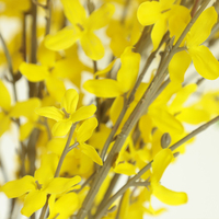 Zarte Blume Zweig Desktop Dekor Faux künstliche Pflanze künstliche Lorbeer Blume Zweige