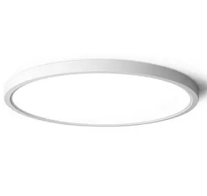 Led Plafondlamp Woonkamer Wit 15.8 Inch Slanke Platte Moderne Verzonken Lichtpunt Voor Slaapkamer 3 Kleurtemperaturen 24W