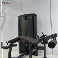 Machine de musculation robuste pour flexions couchées et entraînement des ischio-jambiers, équipement d'entraînement des jambes pour salle de sport