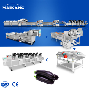 Línea de Producción Industrial Automática para Lavado, Escaldado y Enfriamiento de Vegetales y Pescado, Equipo para Vegetales y Calamar - Product Image 1