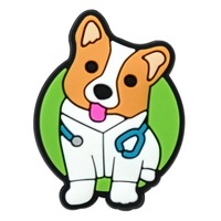 Breloques pour chaussures d'hôpital vétérinaire à thème dessin animé, réutilisables, en PVC souple, décorations DIY, accessoires pour sabots à thème médical pour animaux de compagnie, vente en gros