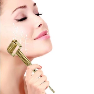 Rouleau de massage facial en métal pour usage domestique, équipement de massage de la peau du visage - Product Image 1