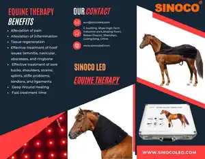 Prodotti di terapia della luce a infrarossi stivali per cavalli a luce rossa terapia pad per cavalli