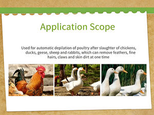 Máquina de Depilación Animal de Calidad Garantizada. <span class=keywords><strong>Aparato</strong></span> para Limpiar y Eliminar el Pelo de la Cabeza y las Patas de los Animales - Product Image 5