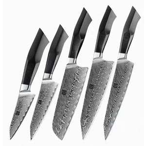 Professional kitchen Damascus steel 5 pcs chef knife set with G10 handle knife japan
