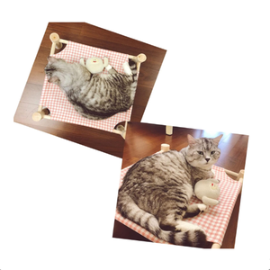 Hamaca de Madera para Gatos, Estilo Adorable, Universal para Todas las Estaciones, Cama para Mascotas de Interior y Exterior, Nido para Mascotas - Product Image 5