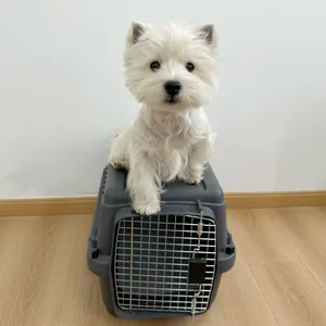 Grand chenil de voyage aérien Portable en plastique approuvé par la compagnie aérienne, sur roues, Cage porte-chien et chat à vendre