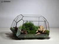 Kit de terrarium en verre géométrique moderne fait à la main imperméable enduit pays conception sol de bureau utilisation en gros vase en verre unique