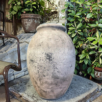 Jardinière en terre cuite enduite vintage Plante verte classique pour bureau, patio et jardin pour l'extérieur