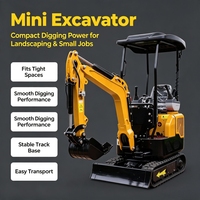 Micro-excavatrice pour travaux municipaux offrant une utilisation fiable sur site aux distributeurs d'équipements agricoles
