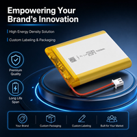 Batterie polymère au lithium haute densité 3,7 V 5000 mAh en vente en gros avec circuit de protection de sécurité PCB intégré