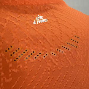 Jersey Tim Nasional dan Klub Pantai Gading, Produksi Langsung Pabrik, Jersey Penggemar Les Éléphants - Product Image 3