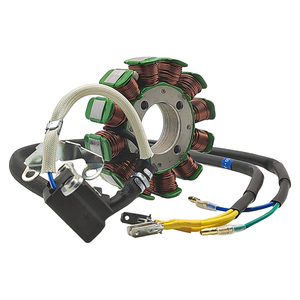 Bobine d'allumage de démarrage de <span class=keywords><strong>moto</strong></span> 11 pôles cg200 bobine refroidie par air bobine magnéto pour kwazaki - Product Image 6