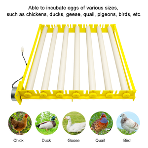 Vente flash : incubateur à <span class=keywords><strong>œufs</strong></span> de 42 <span class=keywords><strong>œufs</strong></span> avec plateau à <span class=keywords><strong>œufs</strong></span> rotatif à vendre - Product Image 2