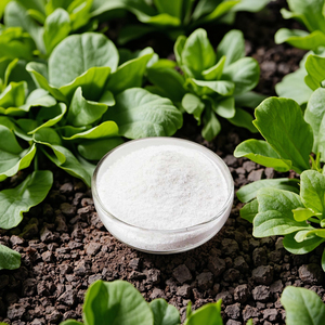 EDTA Mg Poudre de Magnésium Chélaté Organique Pureté 100% Engrais Solubilité 100% dans l'Eau pH 7-9 pour une Croissance Rapide des Cultures et des Plantes - Product Image 3