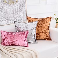 Housse de coussin carrée en velours écrasé de la série Premium avec fermeture éclair, housses de coussin épaisses de luxe pour la décoration de la maison