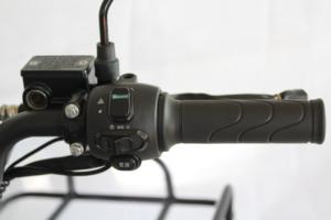 <span class=keywords><strong>Vélo</strong></span> de livraison <span class=keywords><strong>électrique</strong></span> 1000W pour la ville, avec batterie LiFePO4 50Ah, écran LCD, autonomie de <span class=keywords><strong>150</strong></span> km, moto de livraison de nourriture, <span class=keywords><strong>vélo</strong></span> cargo <span class=keywords><strong>électrique</strong></span> - Product Image 3