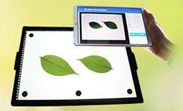 Analyseur d'aire des feuilles intelligent portable pour système <span class=keywords><strong>Android</strong></span>, analyseur d'aire des feuilles intelligent de laboratoire - Product Image 2