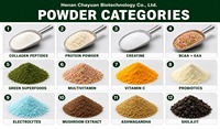Poudre de Protéine de Lactosérum pour la Croissance Musculaire et la Nutrition Sportive, Fourniture d'Usine, Grande Capacité, Poudre de Protéine Végétalienne