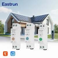 Interruptor de Circuito Wifi Tuya Serie Eastron IB1-63, 63A, 110V, 220V, Control Remoto, Interruptor de Circuito Inteligente para el Hogar