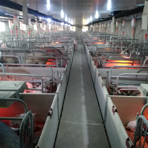 Caisses de mise bas PH PH-F1824 - Utilisation porcine - Fil d'acier à faible teneur en carbone Q235 - Durée de vie de 20 à 25 ans - Product Image 2