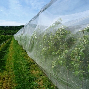 Red de insectos agrícolas de alta resistencia-HDPE reforzado de 120g/m² para protección de granjas e invernaderos - Product Image 1