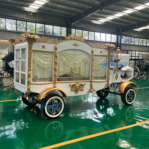 รถศพไฟฟ้าและรถลากม้าขายดีที่สุด รถพิธีศพ รถศพสำหรับขาย - Product Image 4