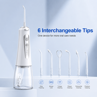 Hydropulseur portable Luxsmile en acier inoxydable rechargeable USB-C avec réservoir d'eau de 300 ml, étanche, pour le nettoyage des dents