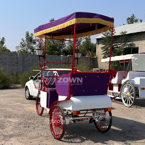 Venta de Fábrica: Carroza Rickshaw para Bodas y Paseos Turísticos Estilo Cenicienta con 1-2 Asientos - Product Image 6