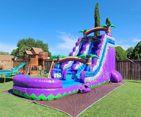 Château gonflable aquatique commercial pour enfants avec toboggan, en PVC, certifié CE, garantie 3 ans, géant et personnalisable