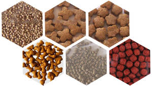 เครื่องอัดรีดอาหารเม็ดปลาแบบพิเศษเครื่องอัดรีดอาหารสัตว์เลี้ยงสำหรับโรงงาน - Product Image 6