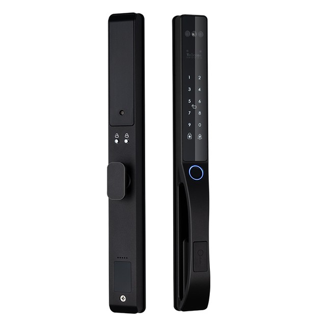 New Style Aluminum Smart Lock Waterproof Face Recognition Sliding Door Electronic Smart Lock