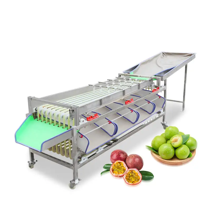 Automatische Aardappelwortelsorteermachine Fruitdata Sorteermachine Voor Fruit-En Groentegrootte Sorteermachine