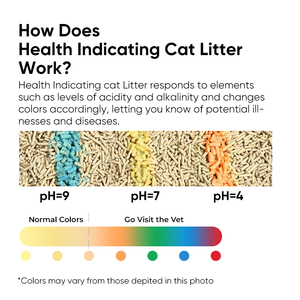 Tự Nhiên Mạnh Mẽ Đóng Vôi Đậu Phụ Mèo Số Lượng Lớn Với Ph Màu Thay Đổi Chỉ Số Sức Khỏe Mèo Thân Thiện Với Phụ Cho Mèo Nhà Vệ Sinh - Product Image 3