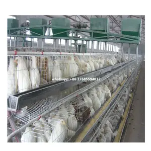 Hot selling Africa chicken cage for sale automatic chicken layer cage for sale in philippines