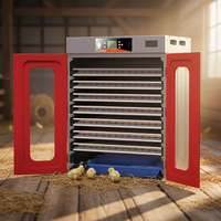 WONEGG 1000 Plateaux d'incubation, machine à œufs, incubateur automatique, fabricant en Chine