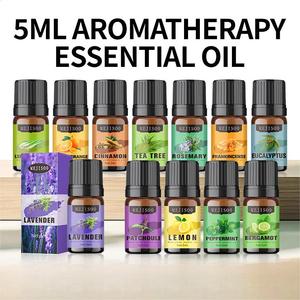 Aceite esencial soluble en agua de larga duración de 5ml, extractos de plantas naturales con fragancia intensa, producto de aromaterapia - Product Image 2