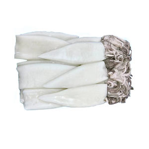 Loligo Ghai T+T (Loligo Patagonica) Congelado, Alto Valor Nutricional para la Preparación <span class=keywords><strong>de</strong></span> Platos Principales en Hoteles - Product Image 1