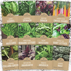 Légume vert biologique non-OGM pour <span class=keywords><strong>la</strong></span> moutarde de chardonnay suisse, sachet de légumes verts d'intérieur sains pour <span class=keywords><strong>la</strong></span> nouvelle saison, 12 unités individuelles à suspendre - Product Image 2