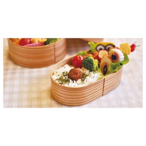 Japanese school food bento lunch box kids with beautiful grain