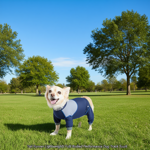 Combinaison de course pour chien Tail Runner, légère, intégrale, haute performance, bleue, taille XS - Product Image 2