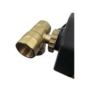 AC 230V DN20 3/4 ''3 vie controllo a 3 punti valvola a sfera motorizzata in ottone <span class=keywords><strong>valvole</strong></span> di controllo del flusso di trattamento delle acque HVAC - Product Image 6