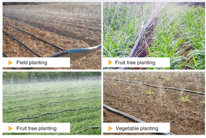 Kits de tuyaux de pluie en plastique de haute qualité et système d'irrigation pour jardin et agriculture pour 1 + hectares - Product Image 5