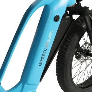 Ebike fat tire 1000watt bicicletta elettrica 48v 750w ebike telaio a sospensione completa per la spiaggia