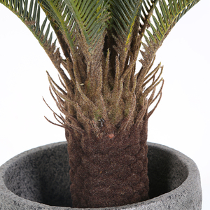 Lớn Nhân Tạo Sago Cycas Cây Cọ Nhựa Trong Nhà Ngoài Trời Trang Trí Cây Nhà Máy Bán Buôn - Product Image 6