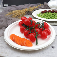 TaidMiao Assiettes en papier rondes blanches de 7 pouces, style classique, lot de 100, 100 % compostables, anti-fuite, jetables, pour mariage, fête, dîner
